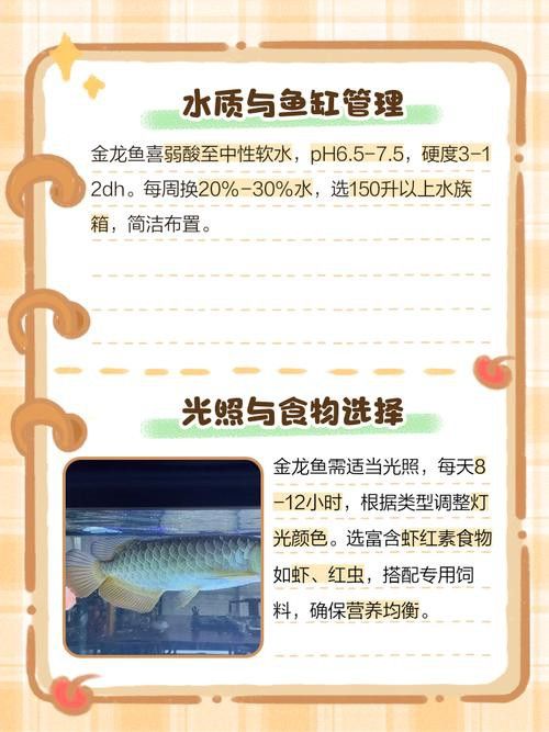 金龍魚用什么顏色燈好看點 金龍魚用什么顏色燈好看點 龍魚百科 第2張