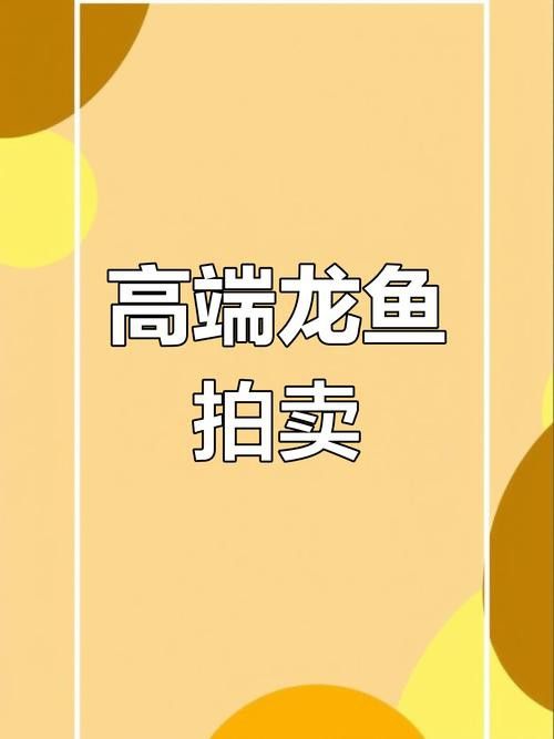 金龍魚的圖片呀