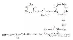 天然防腐劑與化學防腐劑哪個更好？
