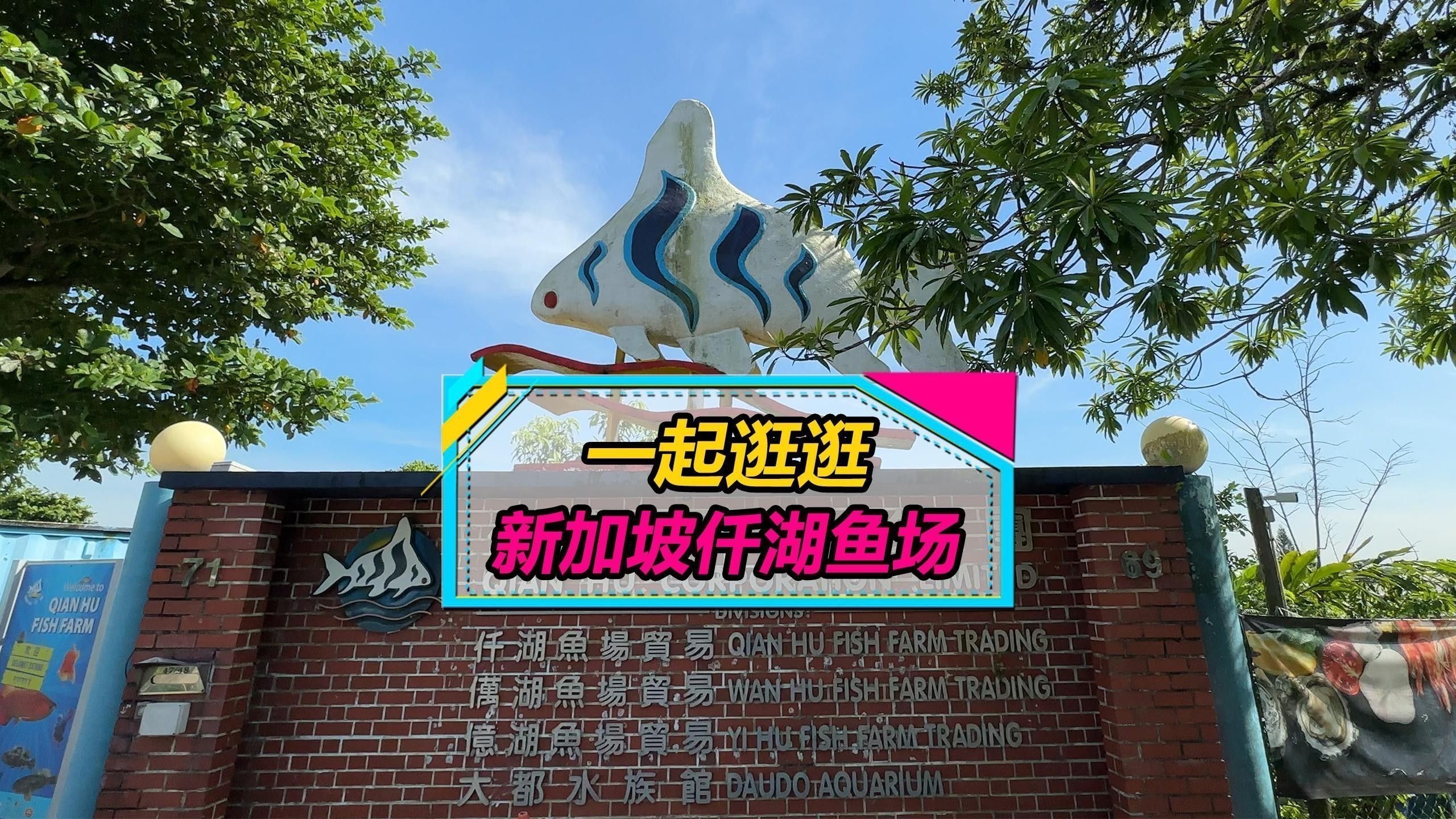 仟湖和森森哪個更適合混養場景？