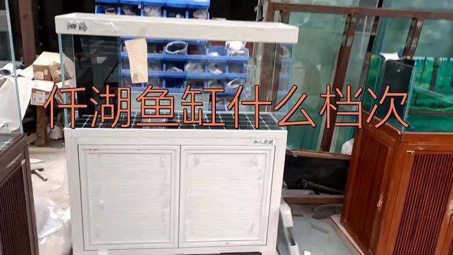 仟湖和森森哪個更適合混養場景？