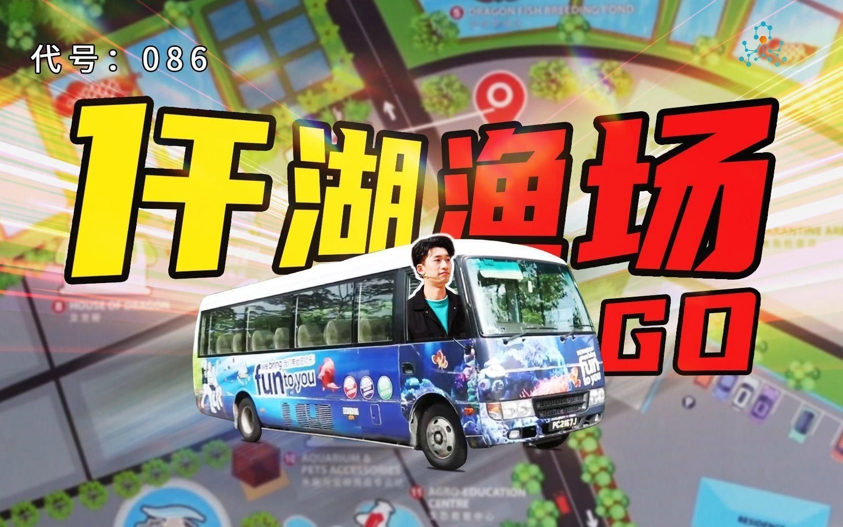 仟湖和森森哪個更適合混養場景？