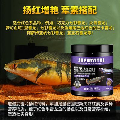 雷龍魚(yú)魚(yú)食那品牌好：雷龍魚(yú)食品牌推薦 雷龍魚(yú)魚(yú)食那品牌好：雷龍魚(yú)食品牌推薦 龍魚(yú)百科 第5張
