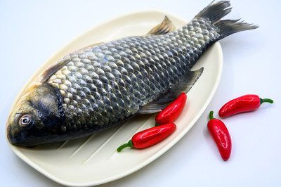 龍魚為什么不能吃小魚呢：在家庭飼養(yǎng)條件下，不建議給龍魚投喂小魚