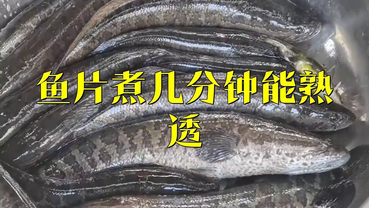 如何判斷魚片是否完全煮熟？