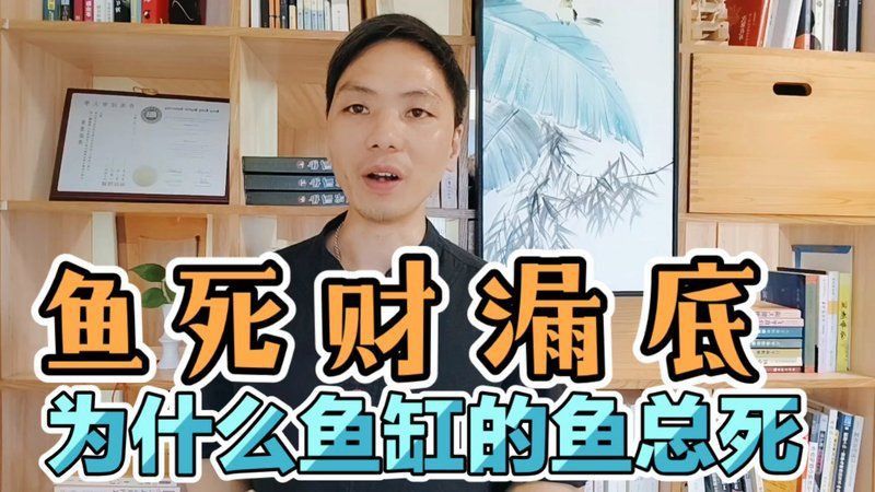 能否提供更多龍魚死亡的風水案例？