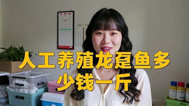 龍躉魚價格多少錢一斤