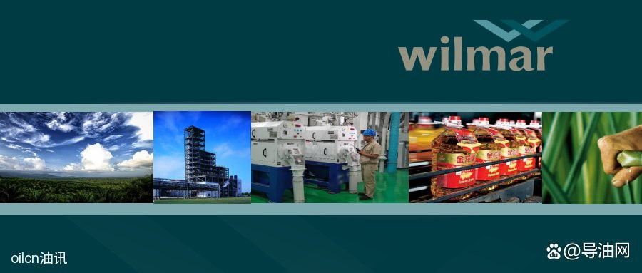 新加坡金龍魚為什么便宜