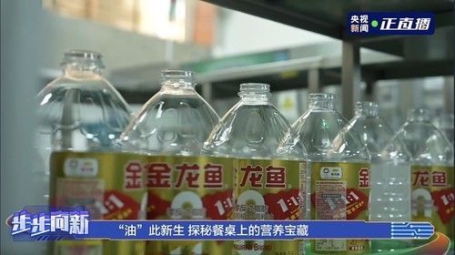紅龍魚最佳溫度是多少攝氏度的（紅龍魚最佳溫度是多少攝氏度的水）