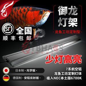 龍魚工坊旗艦店怎么樣：大江龍魚工坊旗艦店怎么樣？