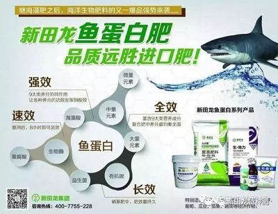 龍魚全效劑：龍魚全效劑使用注意事項