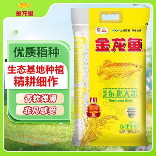 金龍魚餐飲優選梗米