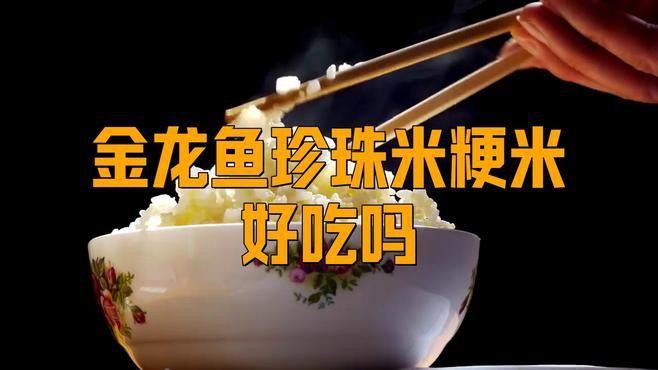 金龍魚餐飲優選梗米