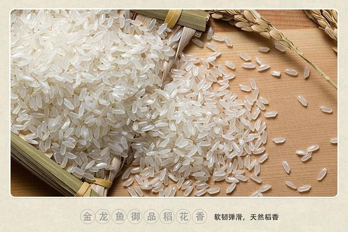 金龍魚餐飲優選梗米
