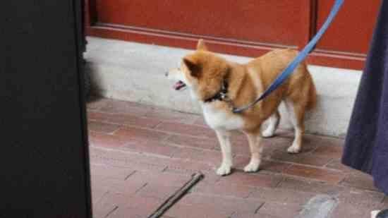 冷門有氣質的英文名女