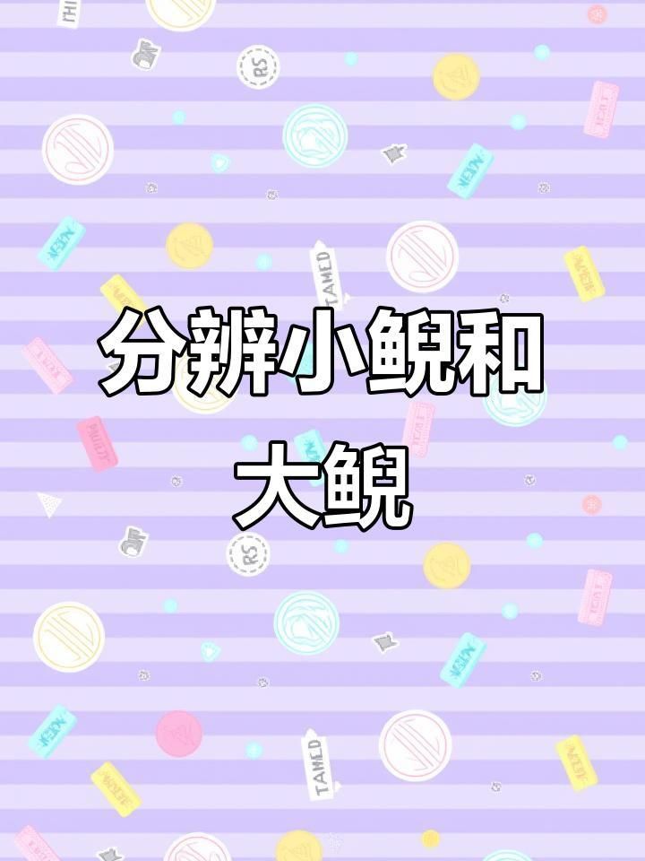 如何區分蠑螈和大鯢