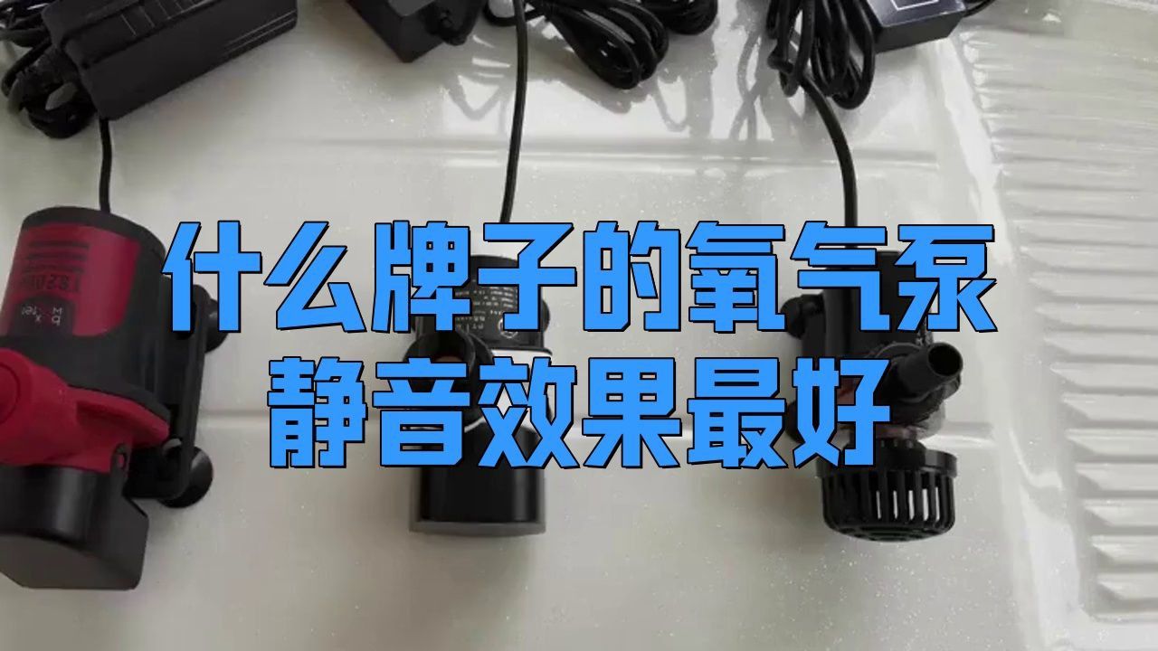 口碑最好的靜音氧氣泵