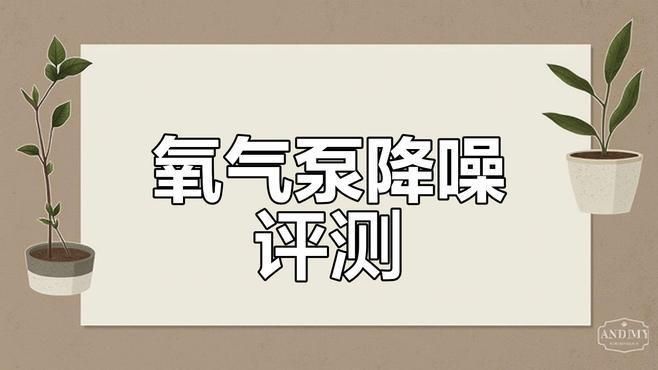 口碑最好的靜音氧氣泵