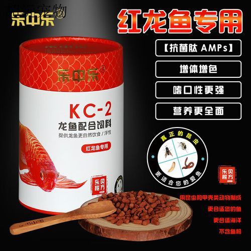 紅龍魚(yú)喂什么飼料好呢圖片欣賞