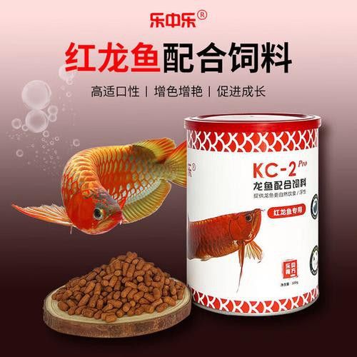 紅龍魚(yú)喂什么飼料好呢圖片欣賞