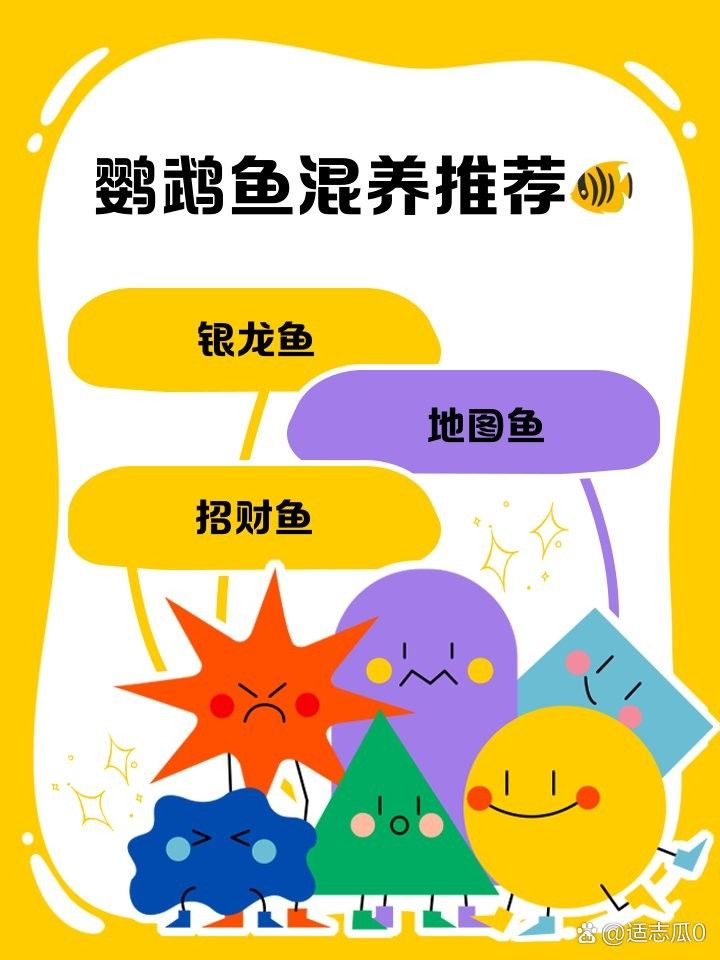銀龍魚和鸚鵡魚那個好養