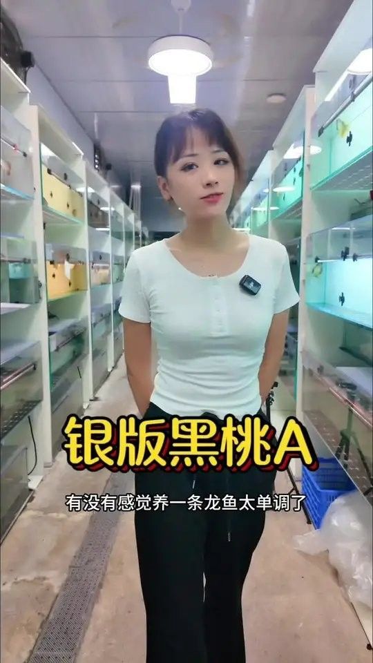 黑食魚和龍魚混養好不好