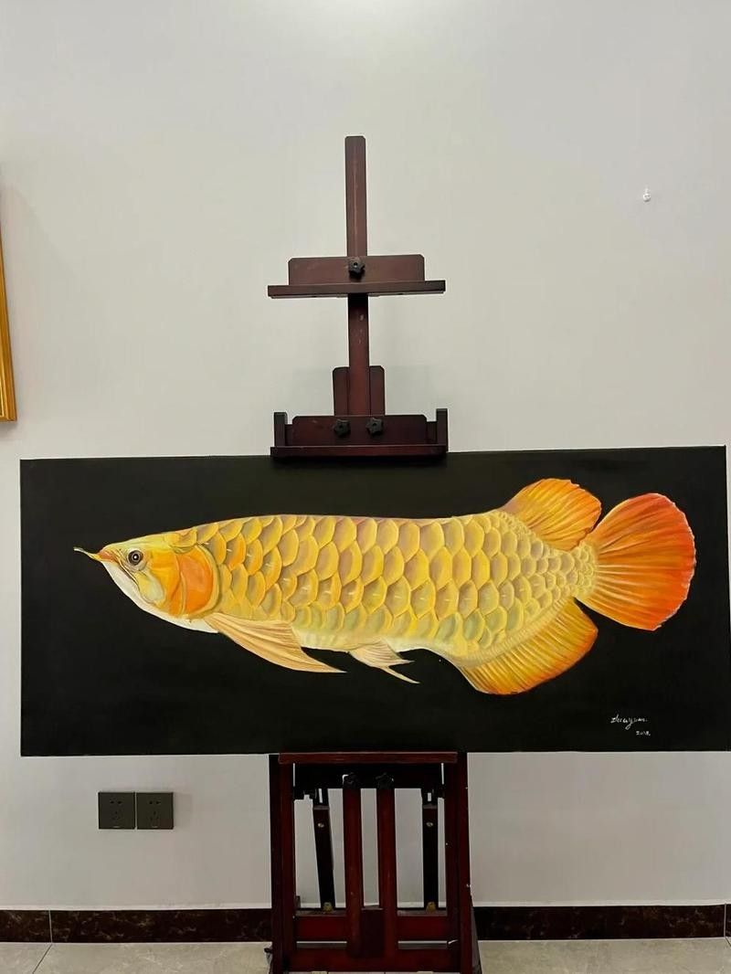 龍魚是什么樣的圖片 簡筆畫視頻