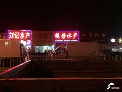 濟(jì)南龍魚市場,濟(jì)南龍魚市場價格對比七里山水族批發(fā)市場價格對比