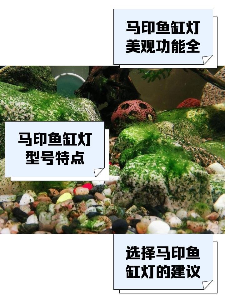 馬印13000K神燈的價格是多少？