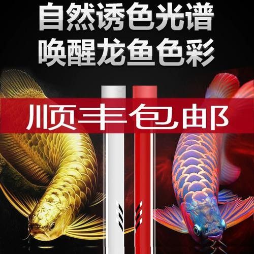 馬印13000K神燈的價格是多少？