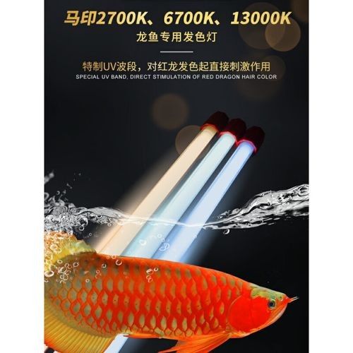 馬印13000K神燈的價格是多少？