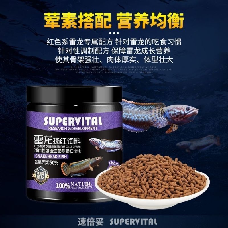 雷龍飼料哪個牌子好