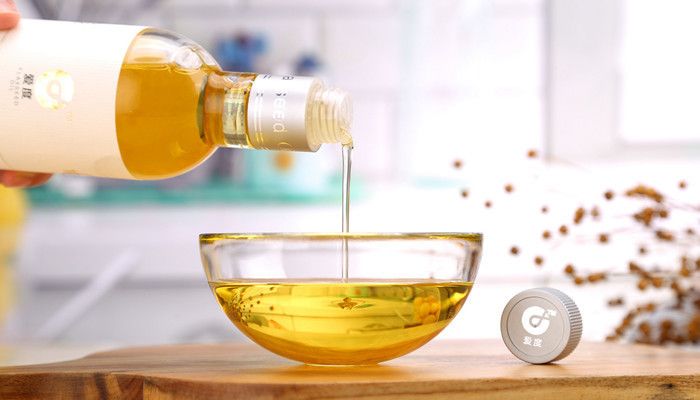 金龍魚是哪國企業