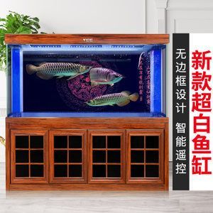 各種龍魚的價(jià)格（龍魚價(jià)格走勢(shì)如何）