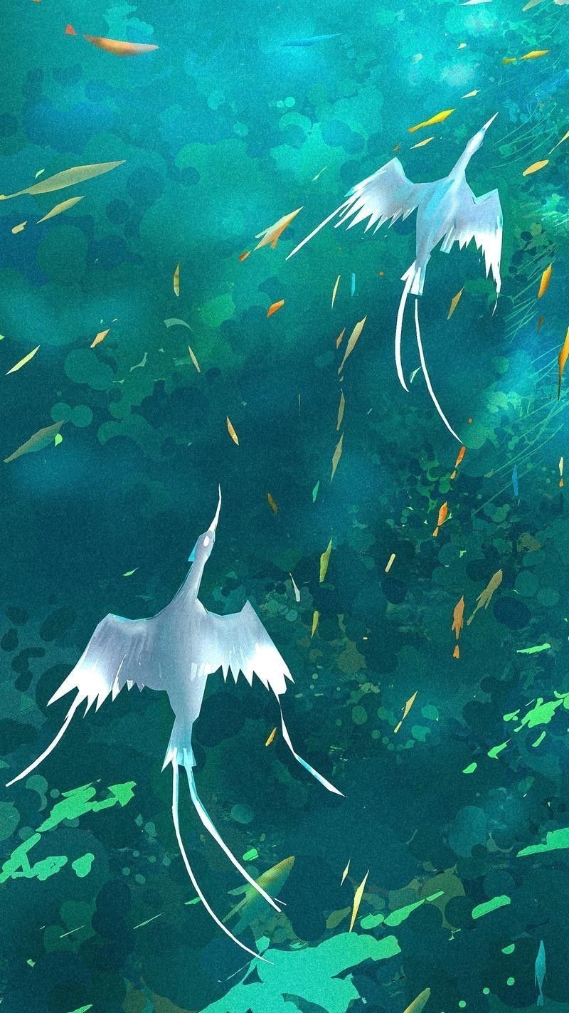 龍魚圖片壁紙卡通畫