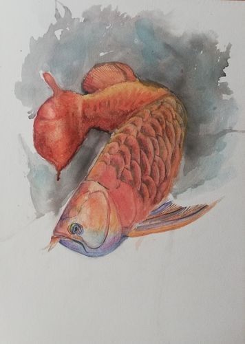 龍魚圖片壁紙卡通畫