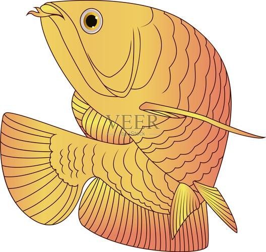 龍魚圖片壁紙卡通畫
