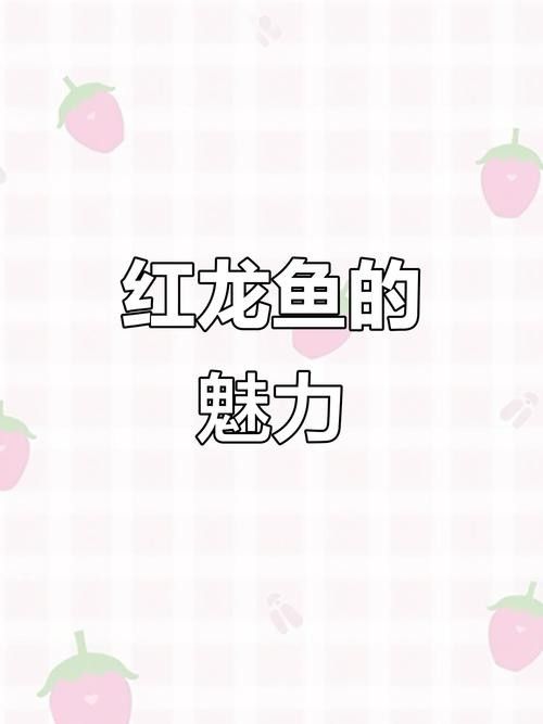 龍魚是哪里的品種魚圖片