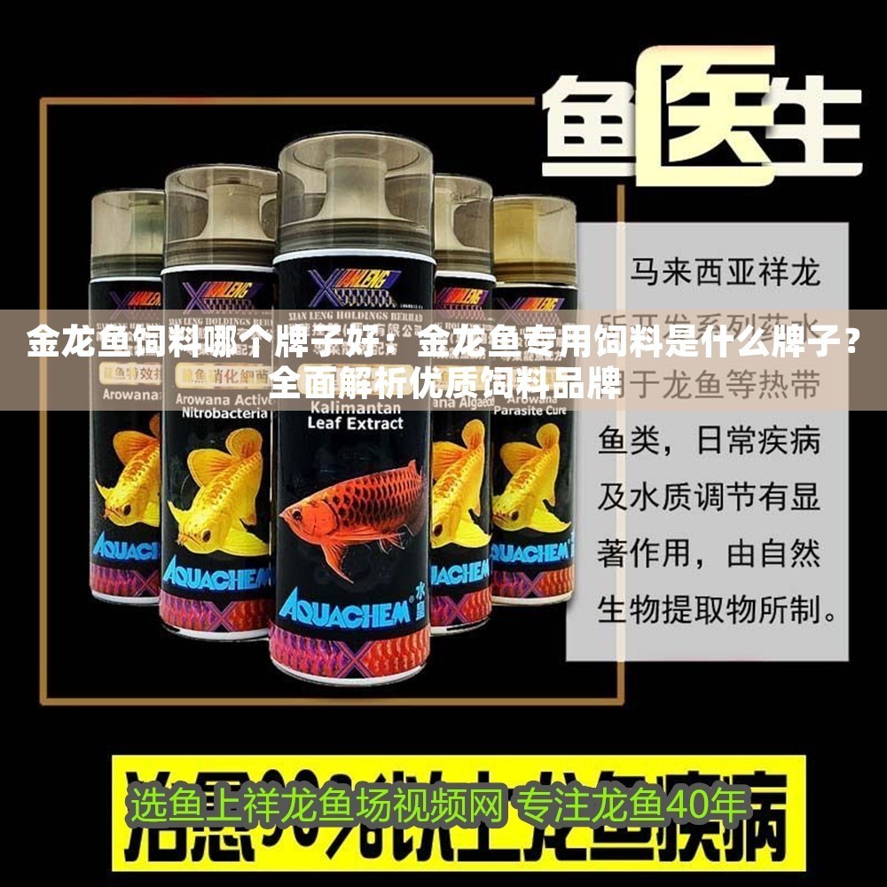 金龍魚飼料哪個牌子好：金龍魚專用飼料是什么牌子？全面解析優質飼料品牌