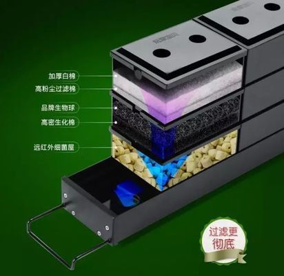 紅龍魚是什么魚類的魚呢圖片（紅龍魚是什么魚類的魚呢圖片大全）