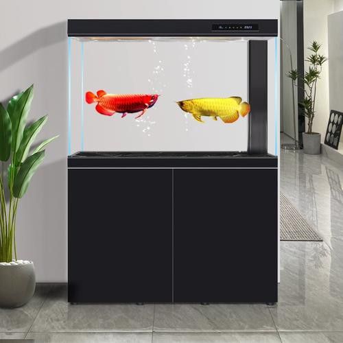 如何選擇適合紅龍的過濾系統？