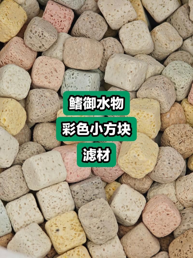 如何選擇適合紅龍的過濾系統？