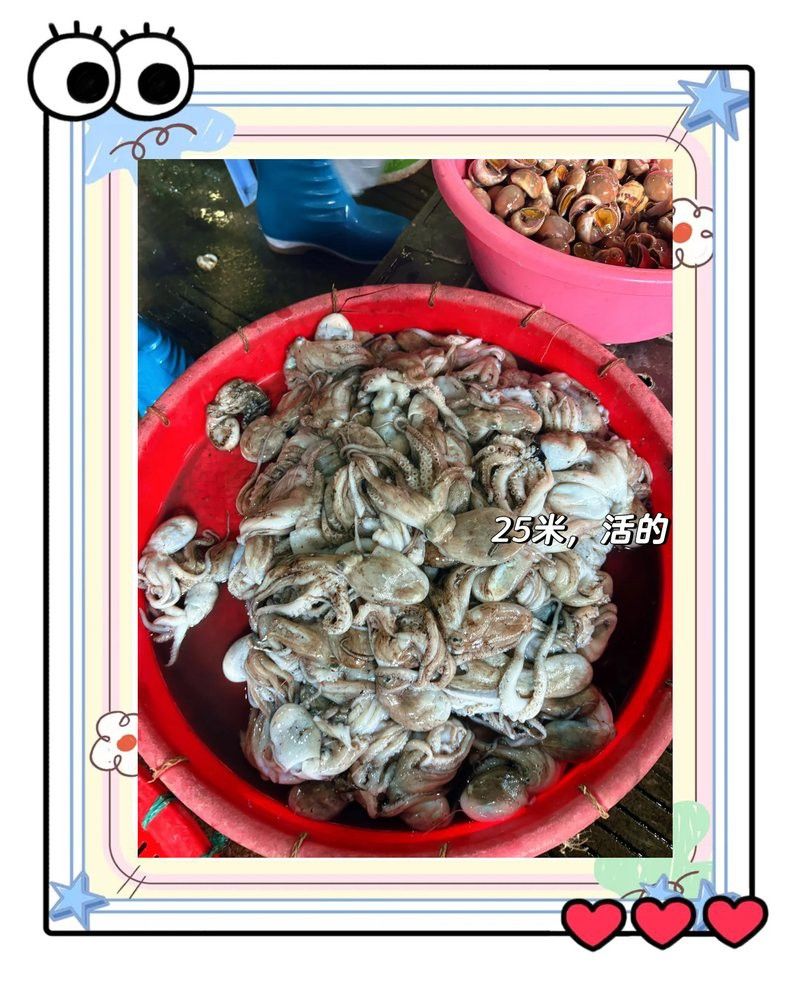 汕頭龍魚批發(fā)市場地址在哪里啊