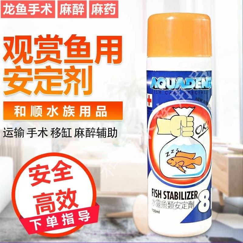 龍魚麻醉后恢復不過來,翻身怎么辦 龍魚麻醉后恢復不過來,翻身怎么辦 龍魚百科 第3張