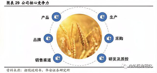 金龍魚銷售模式分析 金龍魚銷售模式分析 龍魚百科 第3張