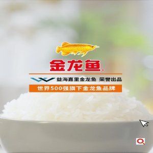 金龍魚珍珠米粳米好不好