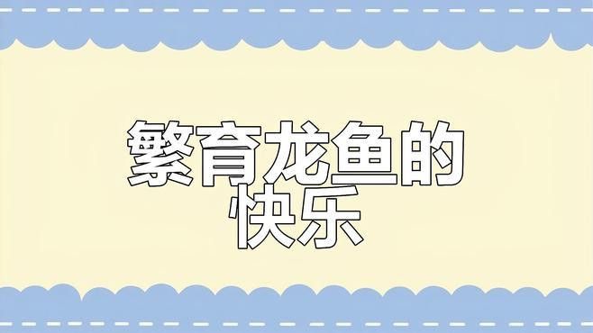 虎斑恐龍魚繁殖方式圖解
