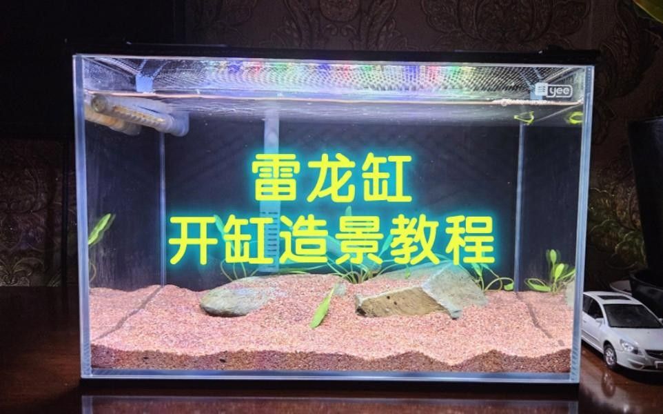 龍魚(yú)缸造景需要哪些工具？