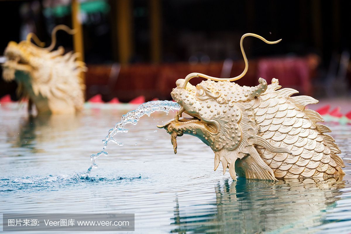龍魚背浮出水面的原因及解決方法（龍魚背浮出水面可能是由多種原因引起的，解決方法及解決方法）