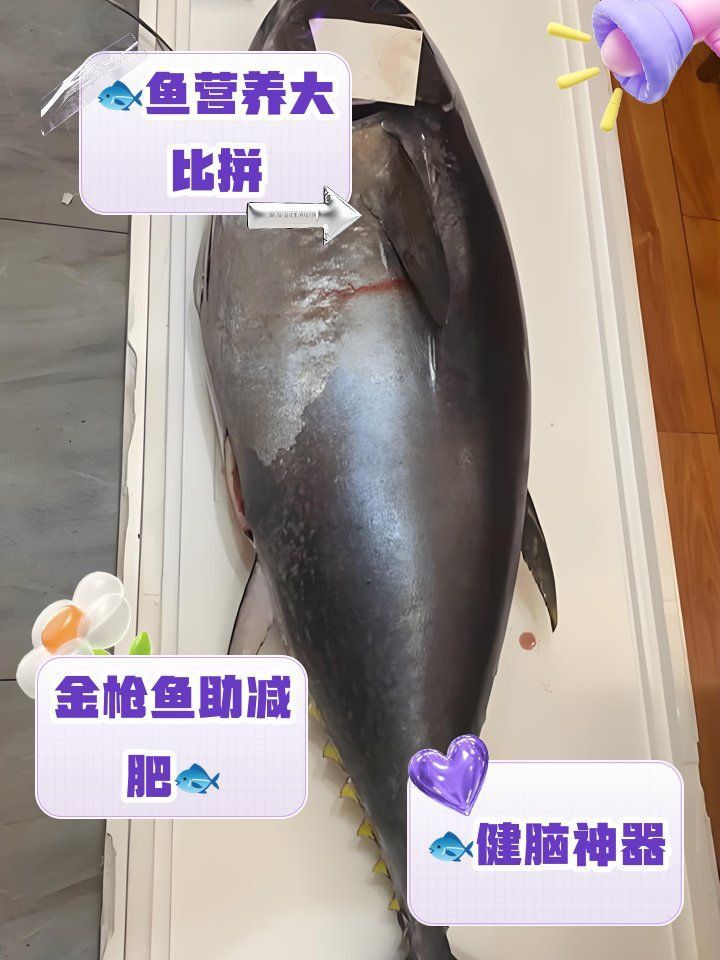 金槍魚好還是三文魚好